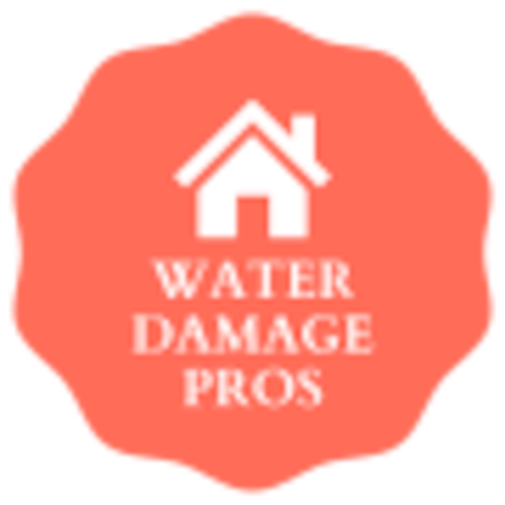 Water damage logo Edinburg, TX